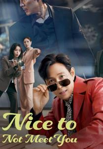 Piacere di Non Conoscerti